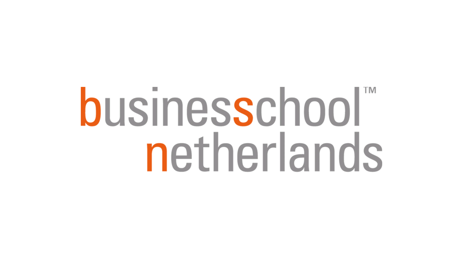 Home Logo van Business School Netherlands